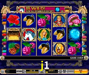 VIP Casino j1